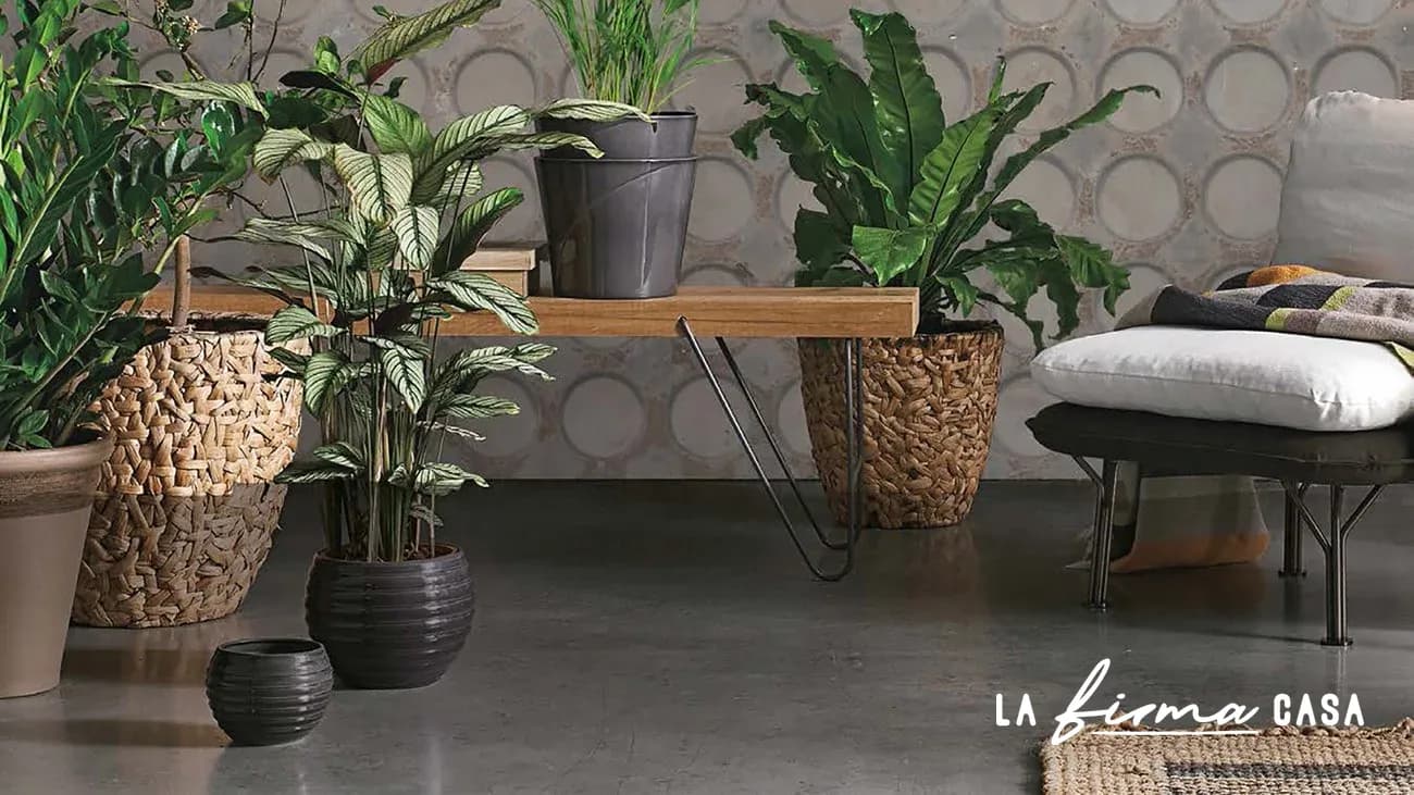 AeR_WALLPAPER_VOL_046 by Adriani & Rossi in Canada