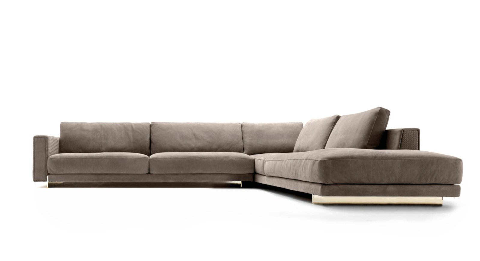 Hector-sectional_thub-scaled
