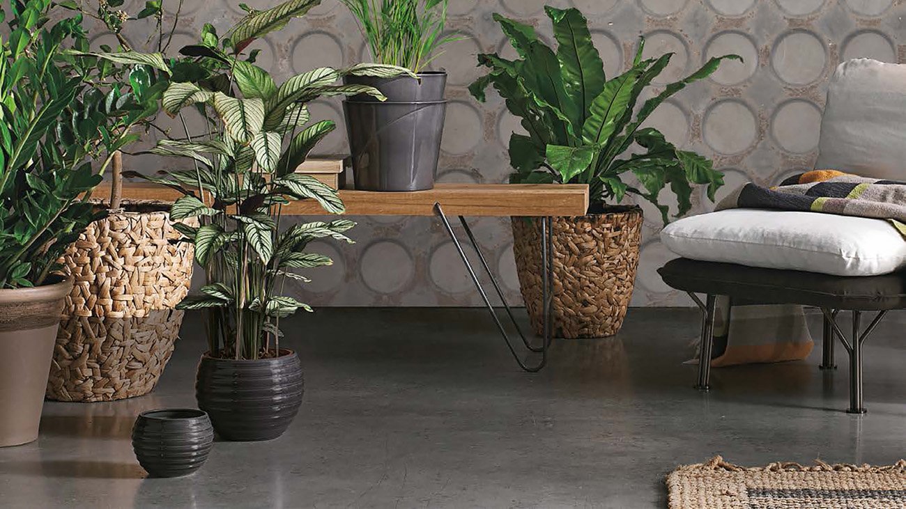 AeR_WALLPAPER_VOL_046