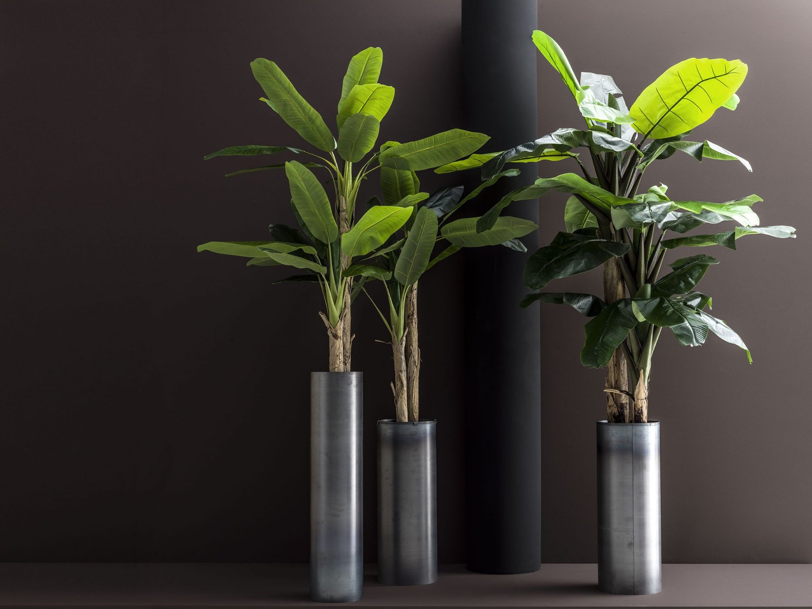 adriani-e-rossi-nuove_9157-scaled